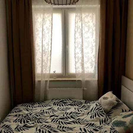 Swan Apartment- Taras I Prywatny Parking W Cenie Gliwice