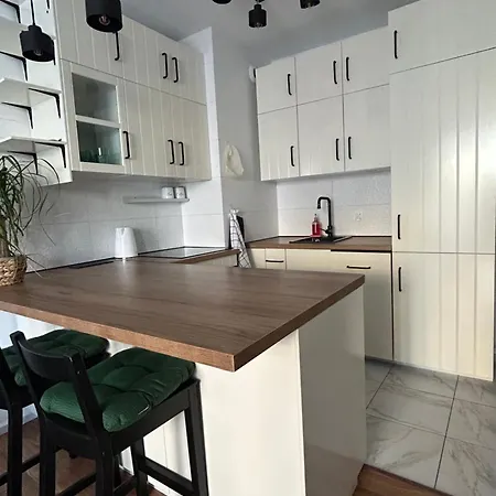 Swan Apartment- Taras I Prywatny Parking W Cenie Apartment