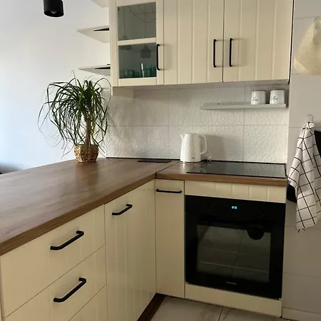 Apartment Swan Apartment- Taras I Prywatny Parking W Cenie *