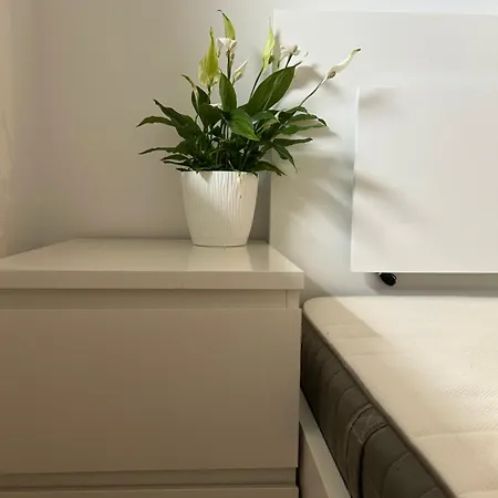 Swan Apartment- Taras I Prywatny Parking W Cenie Apartment Gliwice