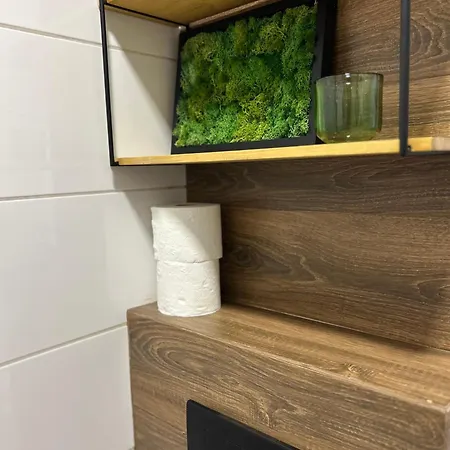 Swan Apartment- Taras I Prywatny Parking W Cenie * Gliwice