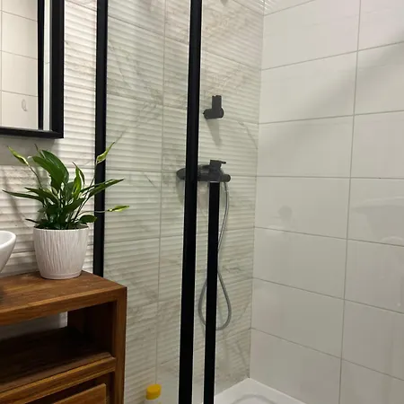 Swan Apartment- Taras I Prywatny Parking W Cenie * Gliwice
